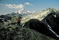 On White Mountain, Glacier Peak in Background (#1)